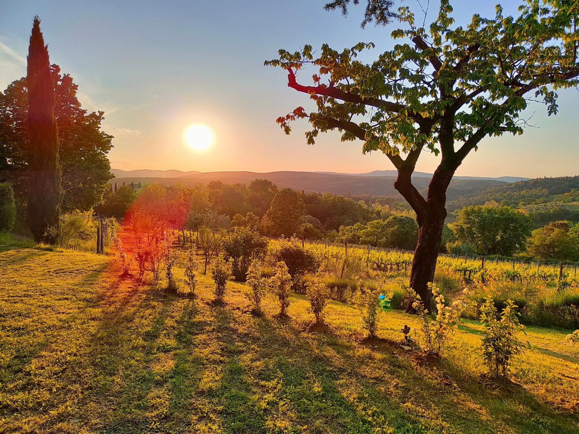 Borgo Villa Certano - Case Vacanza In Toscana سيينا المظهر الخارجي الصورة