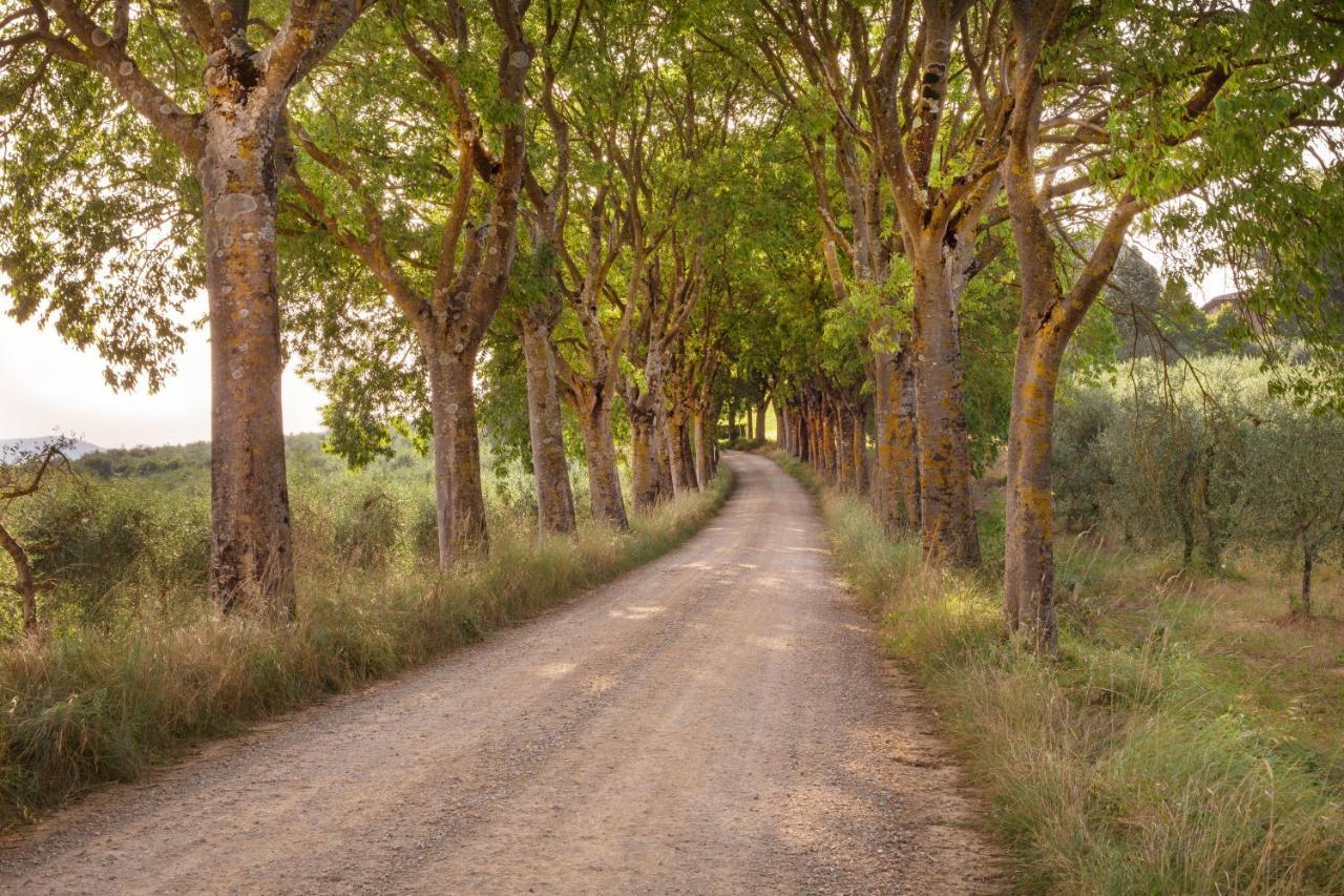 Borgo Villa Certano - Case Vacanza In Toscana سيينا المظهر الخارجي الصورة